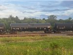 CBTX 740132